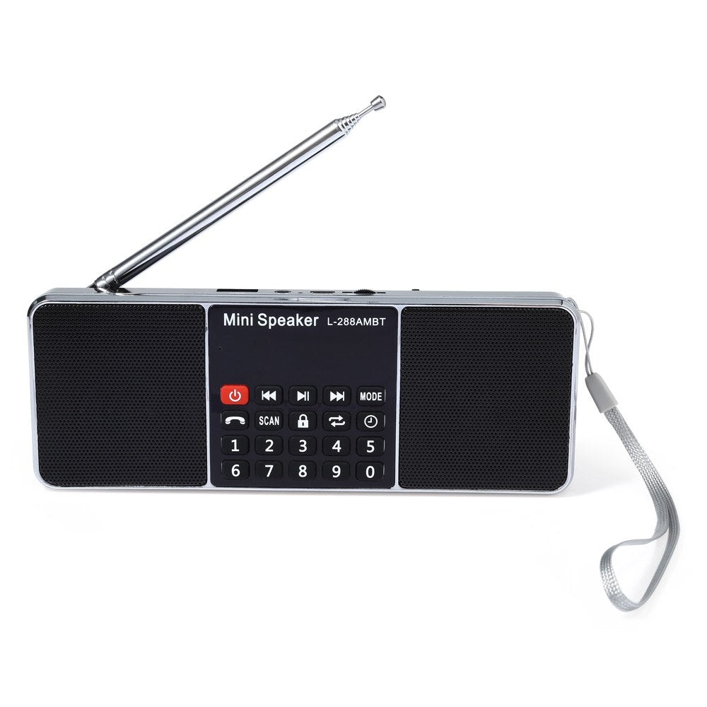 Bluetooth Dual-Band Speaker with Card Slot